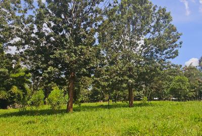 4.5 ac Land at Karen