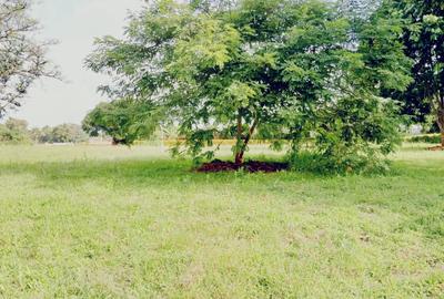 3.5 ac Commercial Land in Karen