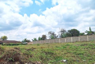 0.25 ac Residential Land at Tigoni - 3