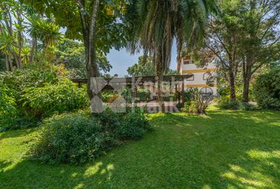 10 Bed House with Garden at Rosslyn Lone Tree