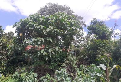 0.5 ac Land in Kikuyu Town - 3
