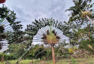 26 ac Land in Karen - 3