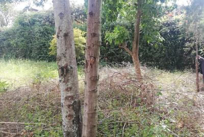 Land in Membley - 3