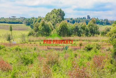 0.05 ha Residential Land at Ondiri - 4