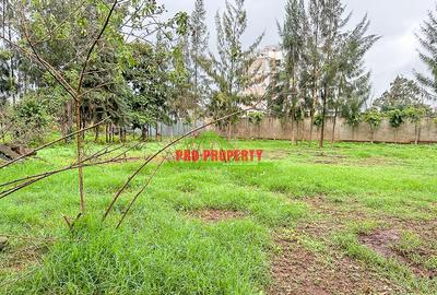 0.05 ha Commercial Land in Kikuyu Town - 2