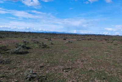 0.125 ac Land at Baraka - 2