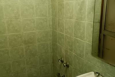 Studio Apartment with Parking in Lavington - 3