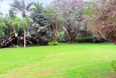 4.1 ac Land in Rosslyn - 3