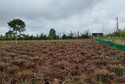 Residential Land at Riara Ridge