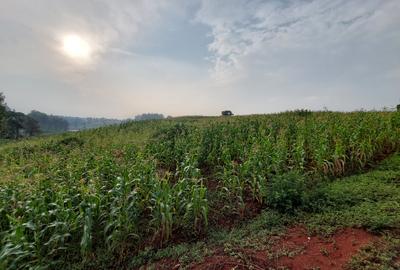 Land at Kitisuru Road