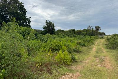 20 ac Land in Vipingo - 3