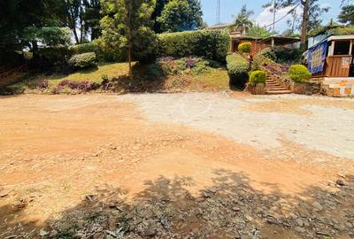 1 ac Land at Banana Raini Road - 3