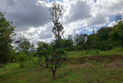 450 ha Land at Kenol Makuyu