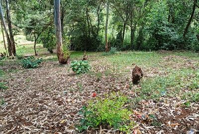 0.741 ac Land in Ruaka