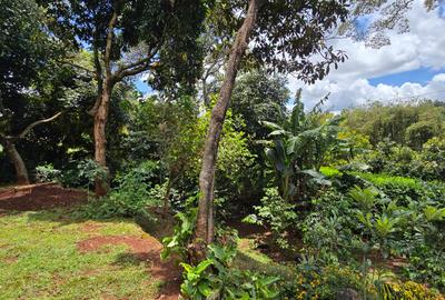 4 Bed House with En Suite in Loresho - 4