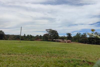 Land at Resurrection Garden