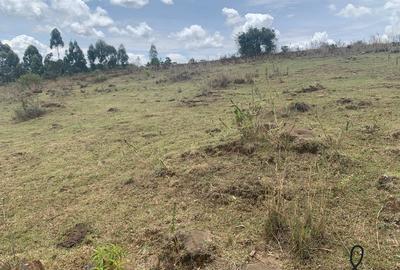 Land at NgáRachi - 2