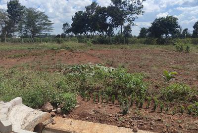 0.5 ac Land at Runda Mumwe