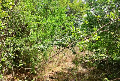 Residential Land at Hardy - 4