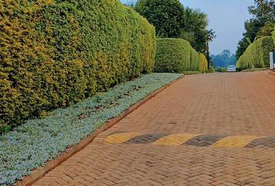 4 Bed Villa with En Suite in Kitisuru