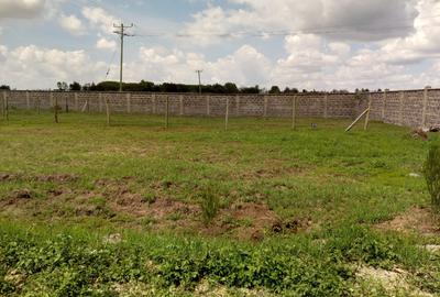 Residential Land at Enkasiti