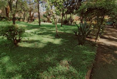 0.78 ac Land at Mugumo Road