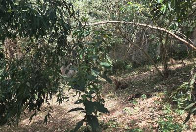 Land in Kitisuru - 4