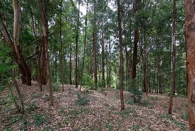 Land in Rosslyn
