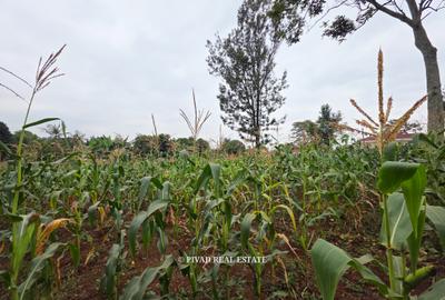 0.5 ac Land in Runda - 3
