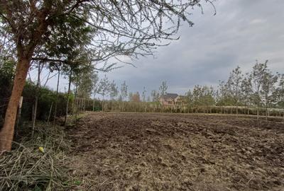 0.5 ac Commercial Property with Parking at Church Street - 3