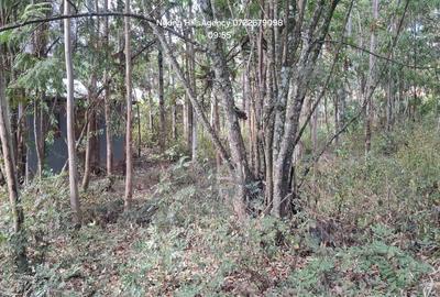 Commercial Land at Embulbul - 4