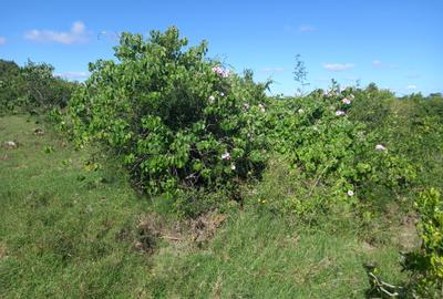 57 ac Land in Nanyuki