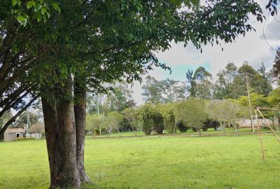 5 ac Land in Karen - 3