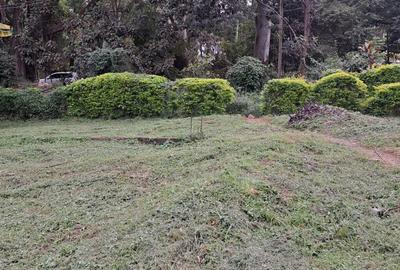 Land in Westlands Area