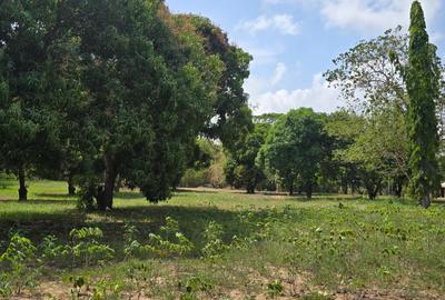 6 ac Land at Mtwapa - 3