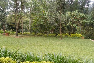 5 Bed House in Gigiri - 3