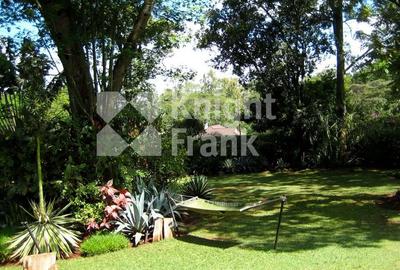 0.8 ac Land at Chalbi Drive - 3