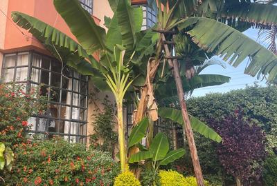 5 Bed Townhouse with En Suite in Ruaka