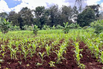 0.5 ac Residential Land at Ridgeways Rd