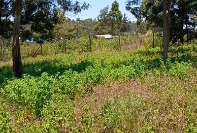 0.05 ha Residential Land at Kamangu