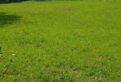 1 ac Land in Karen - 4