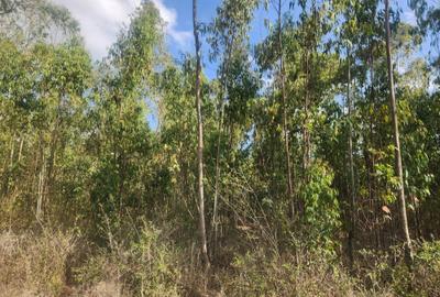 1 ac Commercial Land at Kerarapon - 3