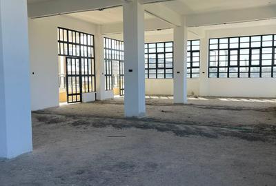 Commercial Property with Lift at Mwananchi Road