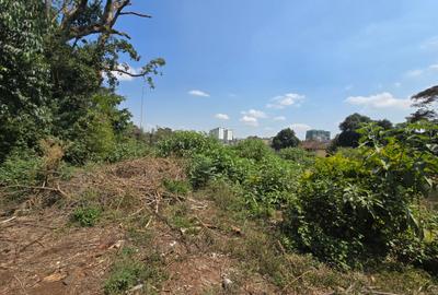 Land at Riara Road - 3