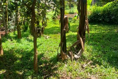 Land at Kandara Road - 4