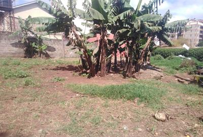 0.25 ac Residential Land at Ruaka Market