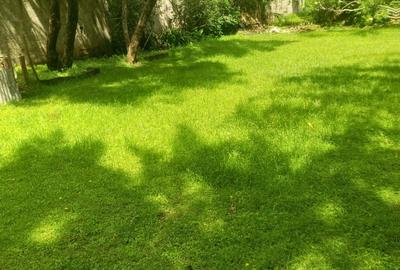 Land in Kilimani - 3