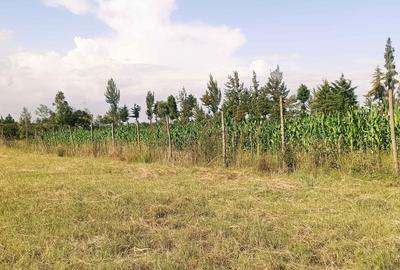 Residential Land at Ngata - 3
