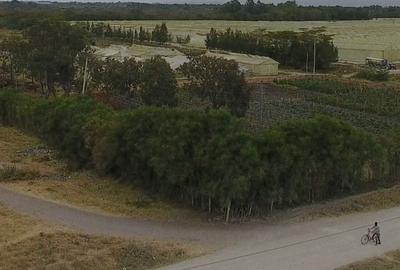 3.5 ac Land at Opposite Pj Dave