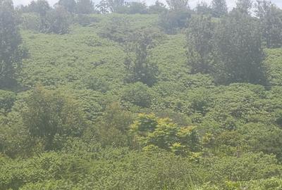 0.25 ac Land in Ruiru